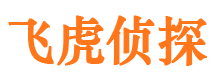 潼关侦探